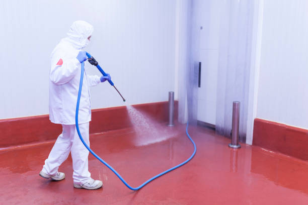 Reliable Strathmore, CA Pressure Washing Services Solutions